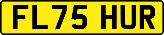 FL75HUR