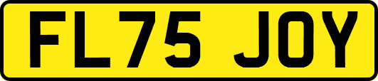 FL75JOY
