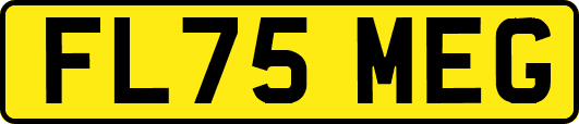 FL75MEG