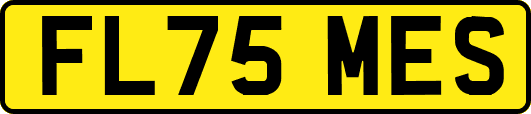 FL75MES