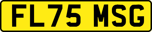 FL75MSG