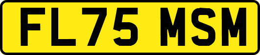 FL75MSM