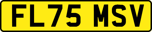 FL75MSV