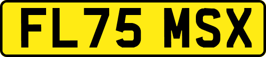 FL75MSX