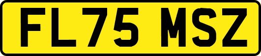 FL75MSZ