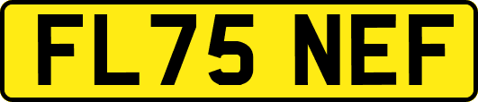 FL75NEF