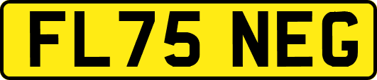 FL75NEG