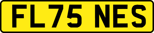 FL75NES