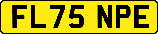 FL75NPE