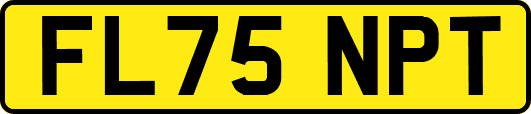 FL75NPT