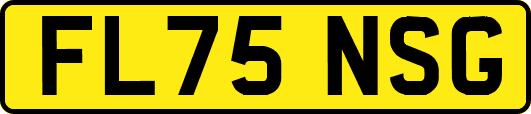 FL75NSG