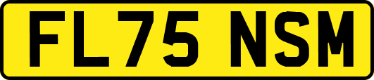 FL75NSM