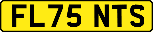 FL75NTS