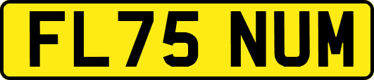 FL75NUM
