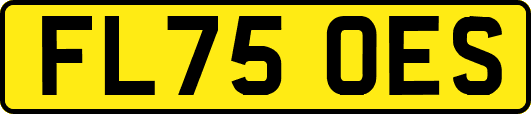 FL75OES