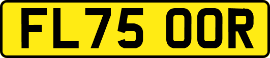 FL75OOR