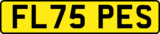 FL75PES