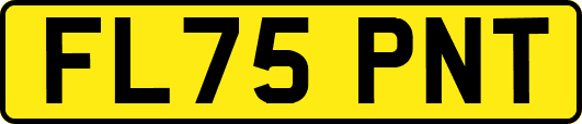 FL75PNT