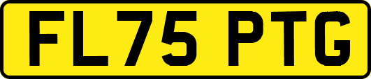 FL75PTG