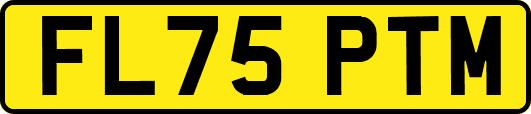 FL75PTM