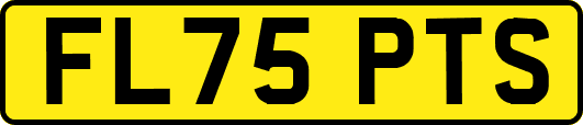 FL75PTS