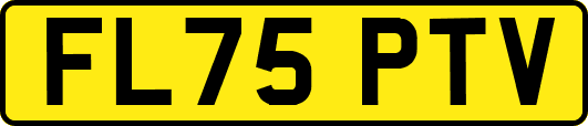 FL75PTV