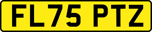 FL75PTZ