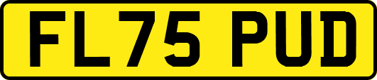 FL75PUD