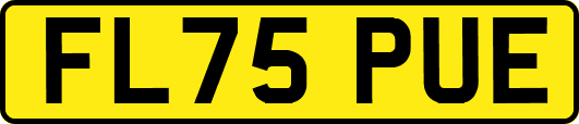 FL75PUE