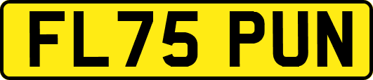 FL75PUN