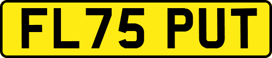 FL75PUT