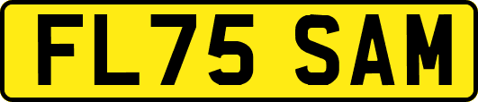 FL75SAM