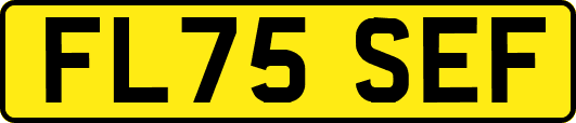 FL75SEF