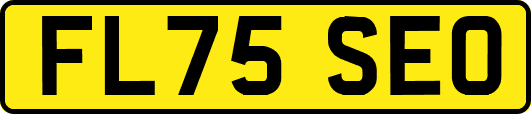 FL75SEO