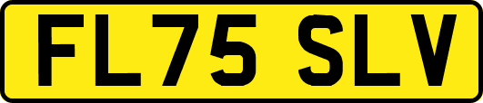 FL75SLV