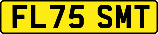 FL75SMT