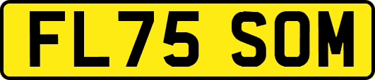 FL75SOM