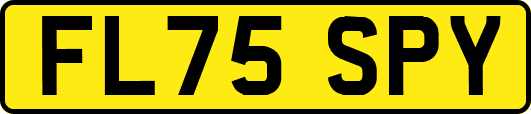 FL75SPY