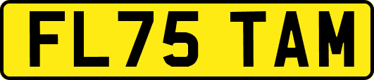 FL75TAM