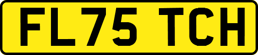 FL75TCH