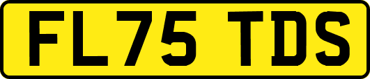 FL75TDS