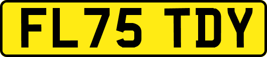 FL75TDY