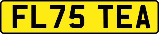 FL75TEA
