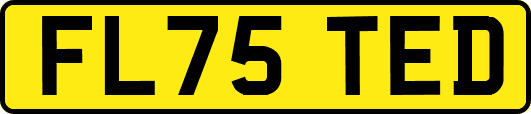 FL75TED
