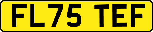FL75TEF