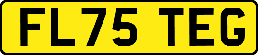 FL75TEG