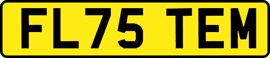 FL75TEM