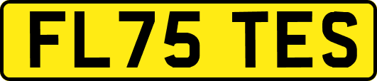 FL75TES