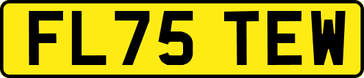 FL75TEW