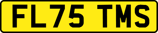 FL75TMS